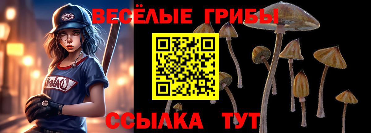 Галлюциногенные грибы Psilocybe  Вход с VPN  Слободской  Галлюциногенные грибы Cubensis 