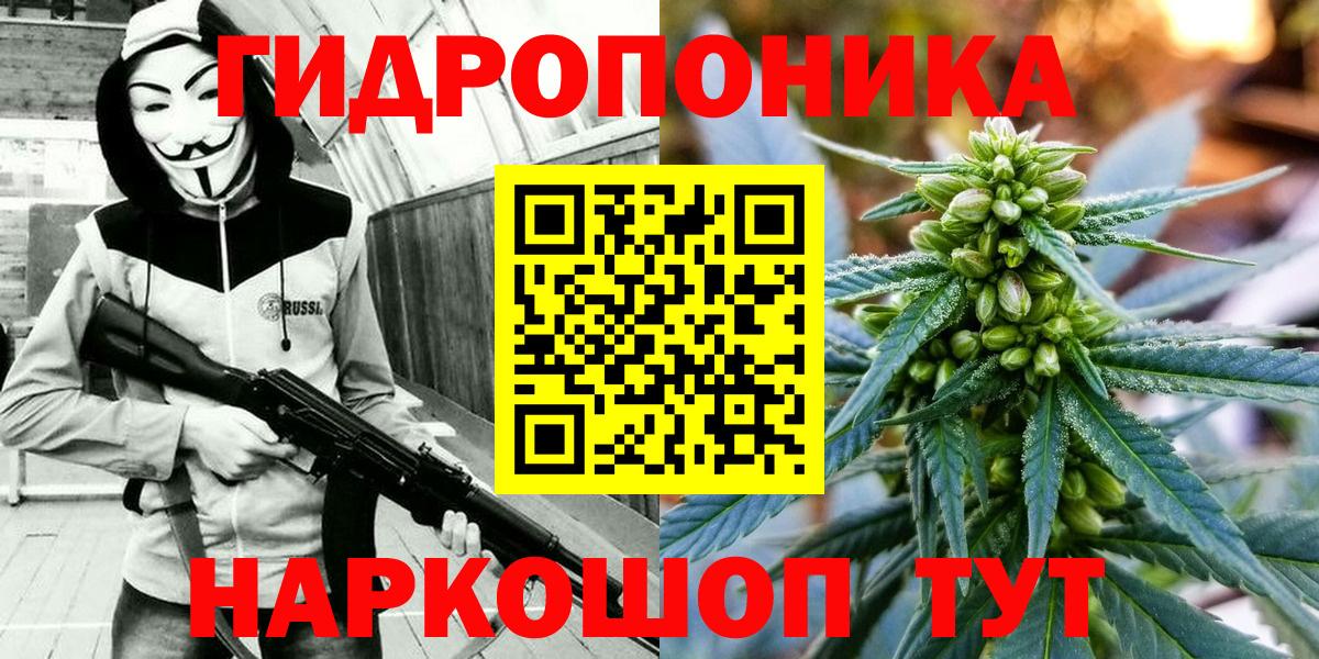 Шишки марихуана план  Вход с VPN  Бошки Шишки сатива  Слободской  МАРИХУАНА Bruce Banner 